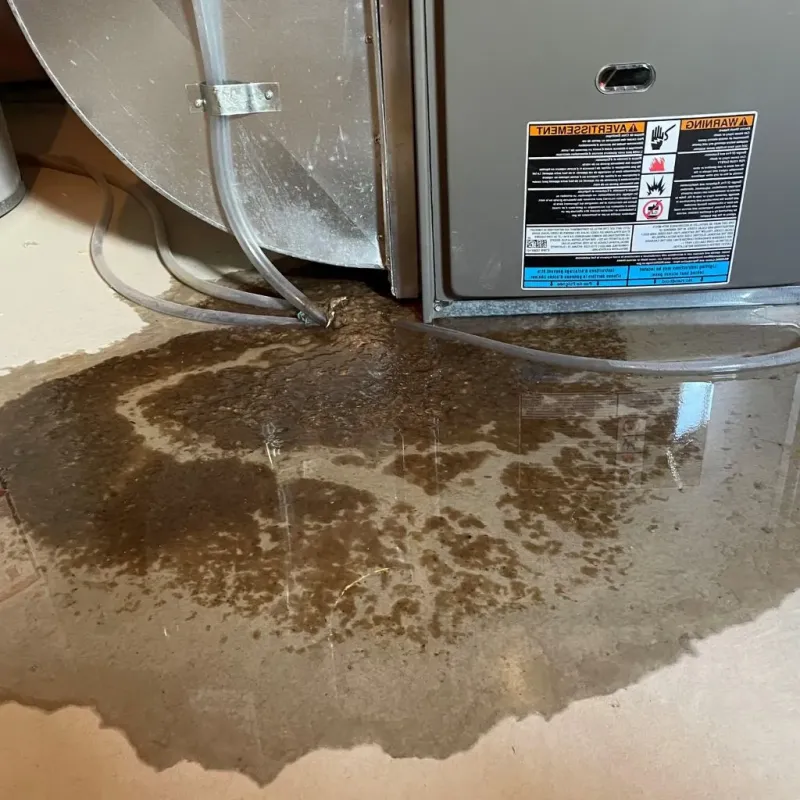 Pipe Burst and Leak Restoration in Madison County, KY