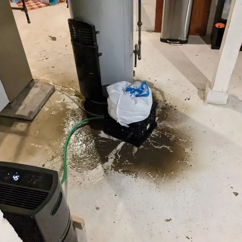 Sewage Backup Cleanup Service in Madison County, KY